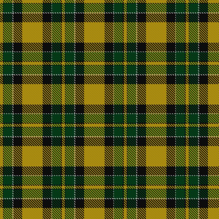 Tartan image: Jacobite #2. Click on this image to see a more detailed version.
