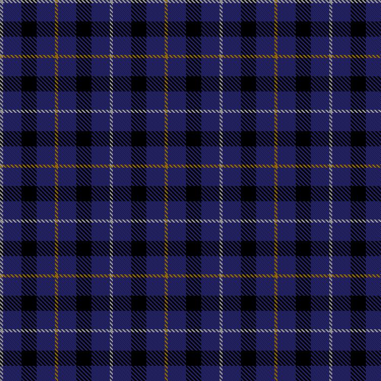 Tartan image: Bank of Scotland (1995). Click on this image to see a more detailed version.