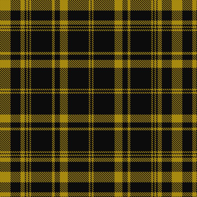 Tartan image: Justus Yellow & Black (Personal). Click on this image to see a more detailed version.