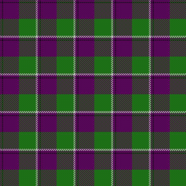 Tartan image: Kansai Highland Games. Click on this image to see a more detailed version.