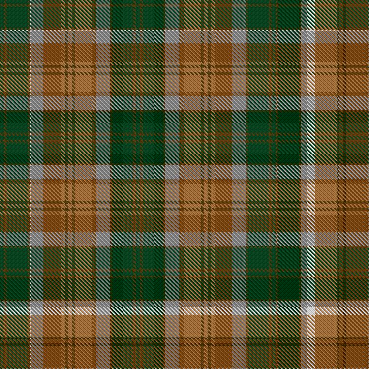 Tartan image: Bannock Bane M.406. Click on this image to see a more detailed version.