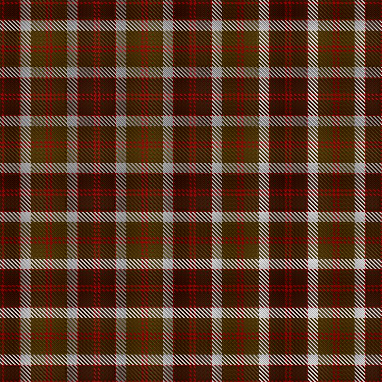 Tartan image: Bannockbane Brown #1. Click on this image to see a more detailed version.
