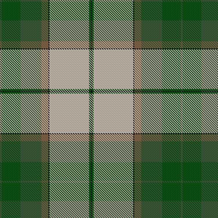 Tartan image: Kintail Dress. Click on this image to see a more detailed version.
