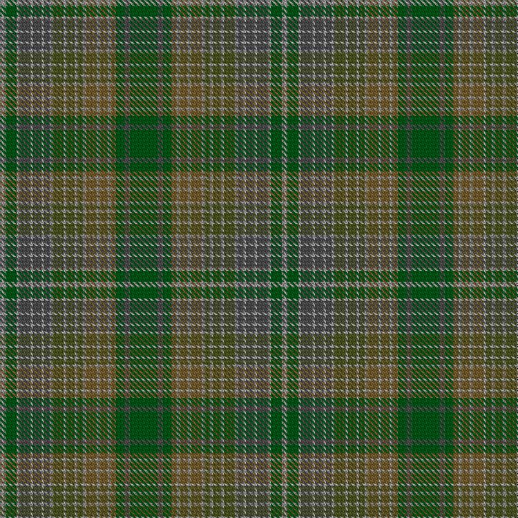 Tartan image: Kirkton. Click on this image to see a more detailed version.