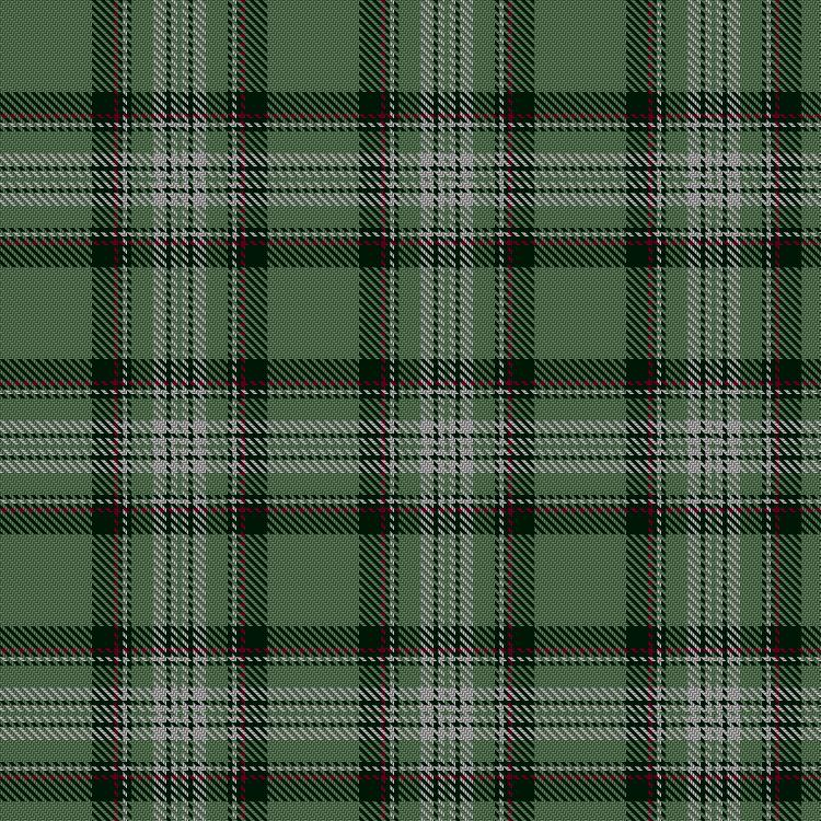 Tartan image: Laggen Dress. Click on this image to see a more detailed version.