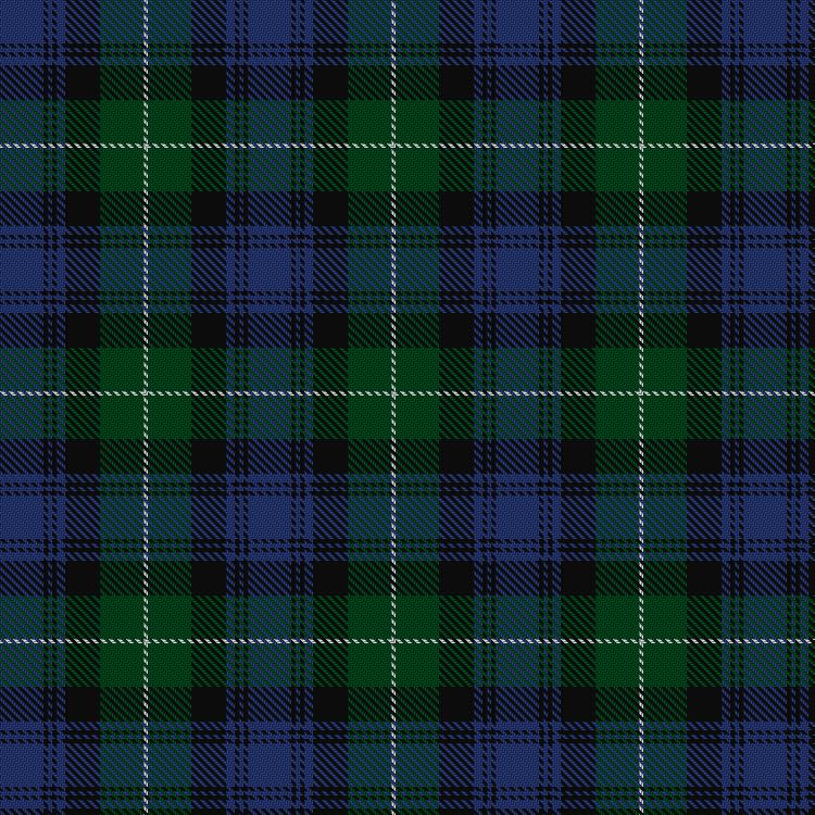 Tartan image: Lamont #2. Click on this image to see a more detailed version.