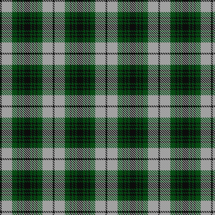 Tartan image: Lamont Dress. Click on this image to see a more detailed version.