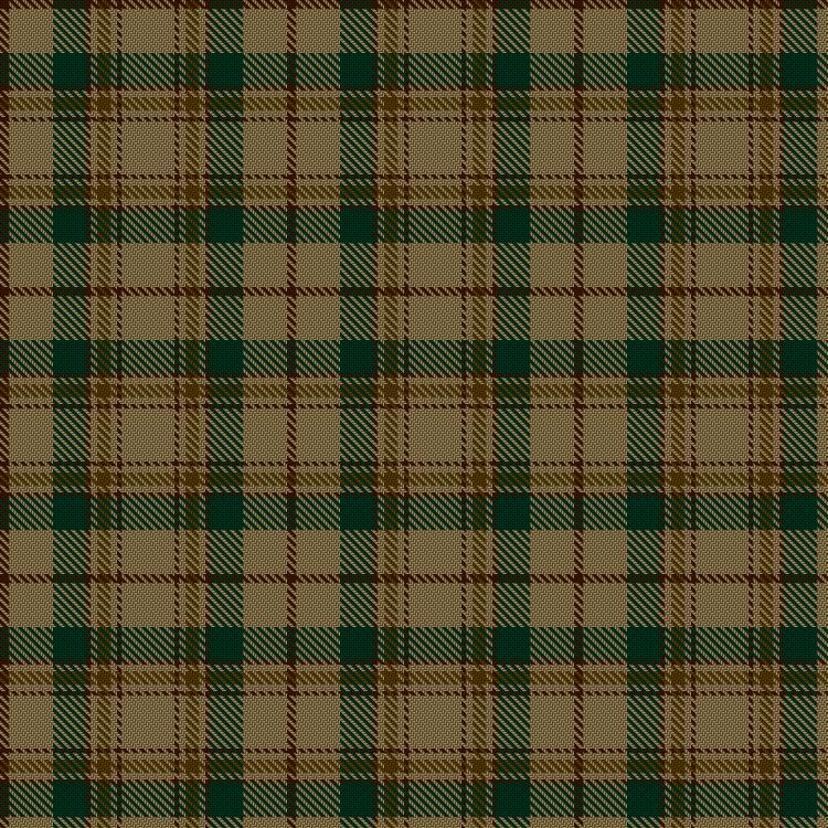 Tartan image: Land's End Camel. Click on this image to see a more detailed version.