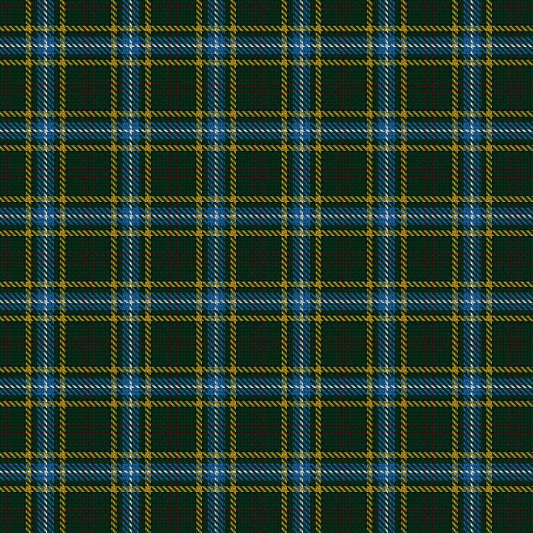 Tartan image: Lees-McRae College. Click on this image to see a more detailed version.