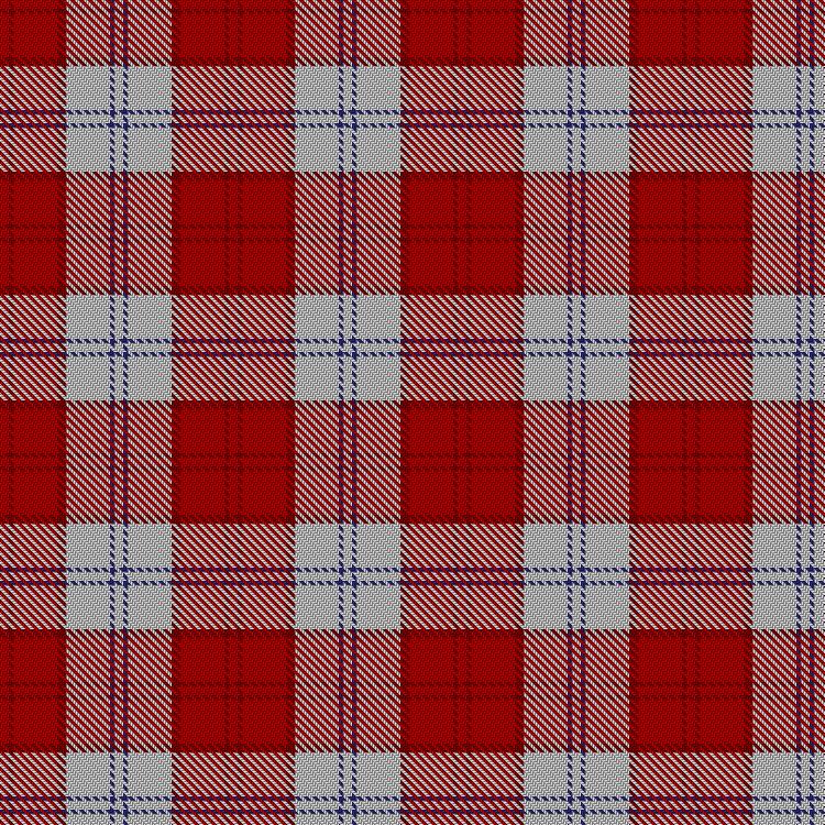Tartan image: Lennox Dress #2. Click on this image to see a more detailed version.