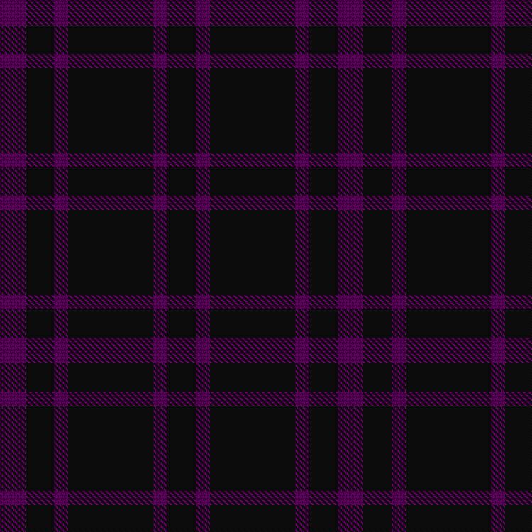 Tartan image: Leonard Hunting. Click on this image to see a more detailed version.