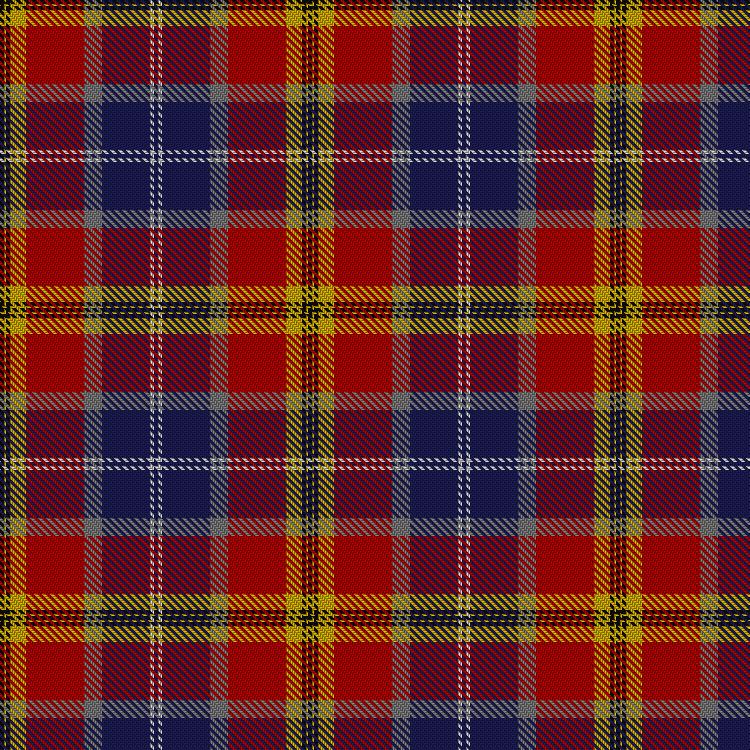 Tartan image: Lermontov. Click on this image to see a more detailed version.