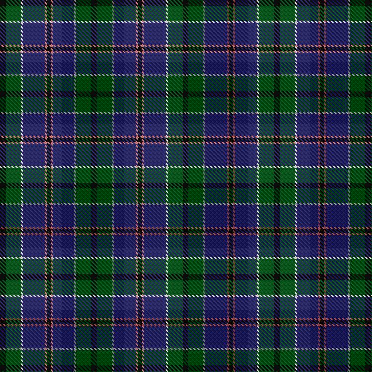 Tartan image: Unnamed C18th – Hebridean #5. Click on this image to see a more detailed version.