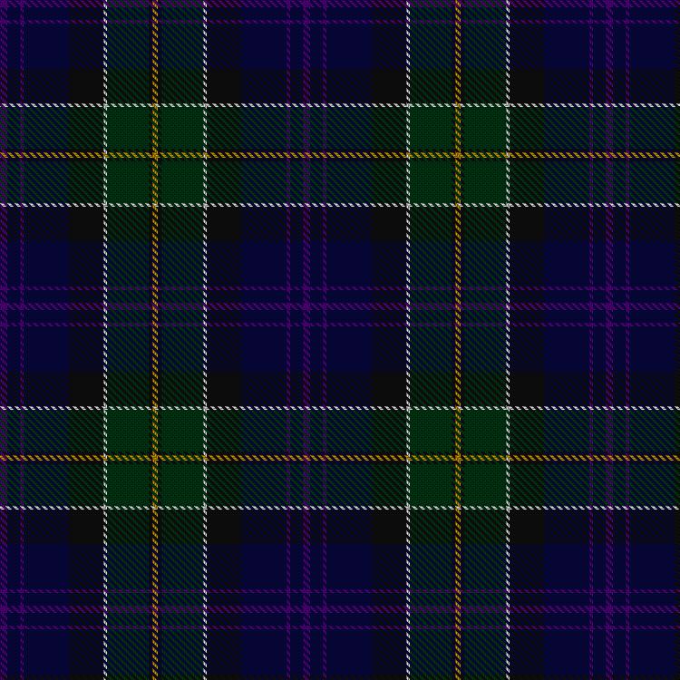 Tartan image: Leung (Personal). Click on this image to see a more detailed version.