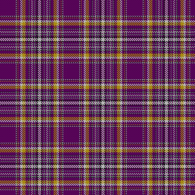Tartan image: Lions Club. Click on this image to see a more detailed version.