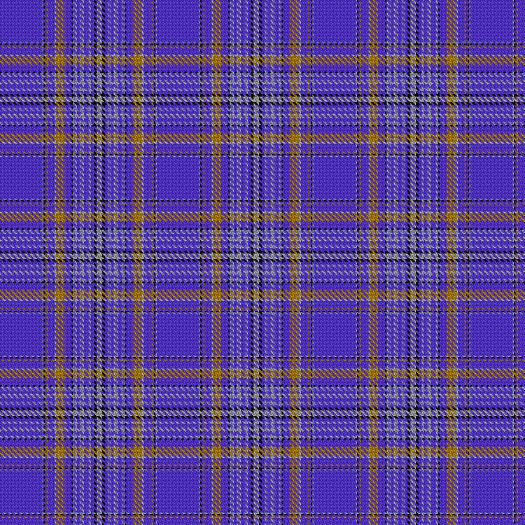Tartan image: Lions International. Click on this image to see a more detailed version.