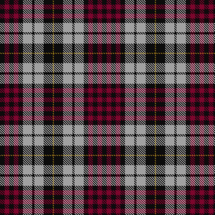 Tartan image: Little Dress. Click on this image to see a more detailed version.