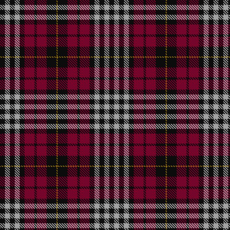 Tartan image: Little of Morton Rigg. Click on this image to see a more detailed version.