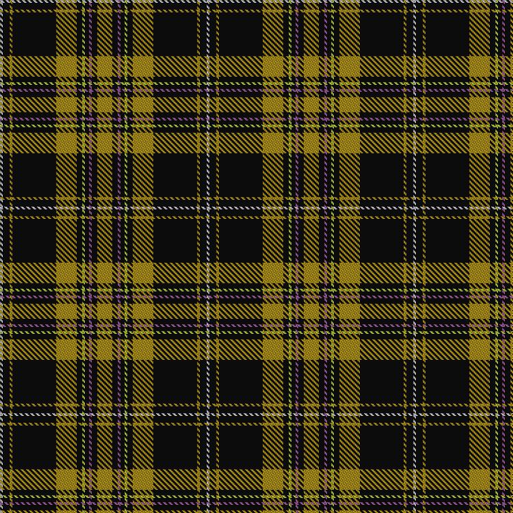 Tartan image: Livingston Football Club. Click on this image to see a more detailed version.