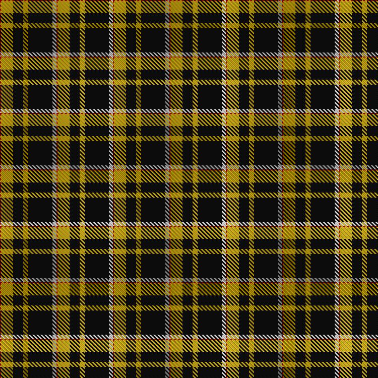 Tartan image: Livingston Football Club (2001). Click on this image to see a more detailed version.