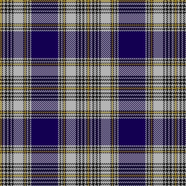 Tartan image: Livingstone Dress. Click on this image to see a more detailed version.
