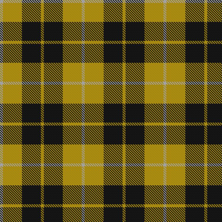 Tartan image: Barclay Dress. Click on this image to see a more detailed version.