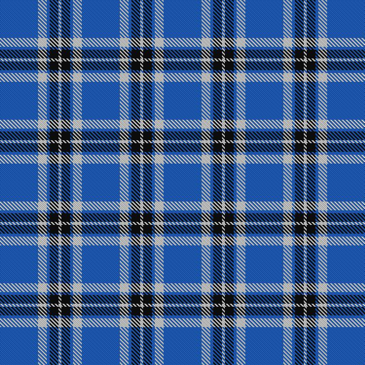 Tartan image: Loch Lomond #2. Click on this image to see a more detailed version.
