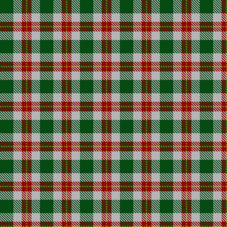 Tartan image: Loch Lomond #3. Click on this image to see a more detailed version.