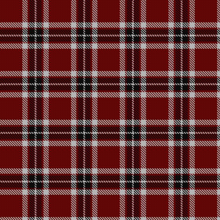 Tartan image: Loch Morar. Click on this image to see a more detailed version.