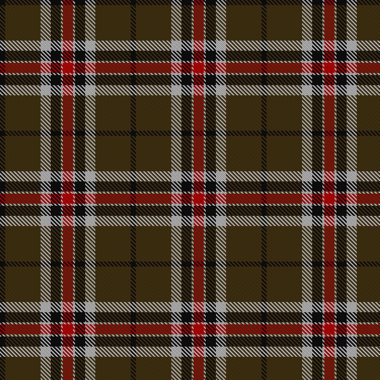 Tartan image: Loch Ness. Click on this image to see a more detailed version.