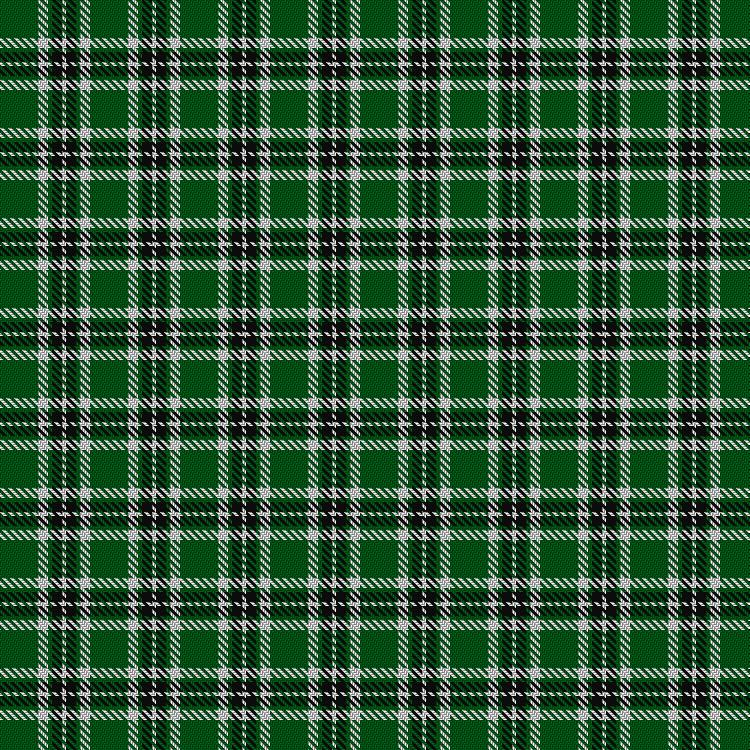 Tartan image: Loch Rannoch. Click on this image to see a more detailed version.