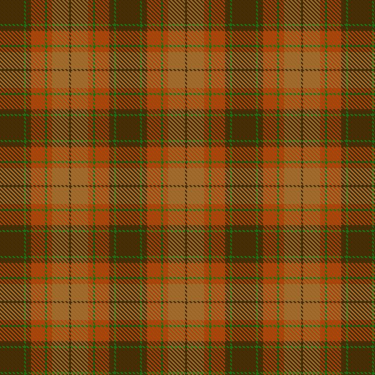 Tartan image: Loch Rannoch #2. Click on this image to see a more detailed version.