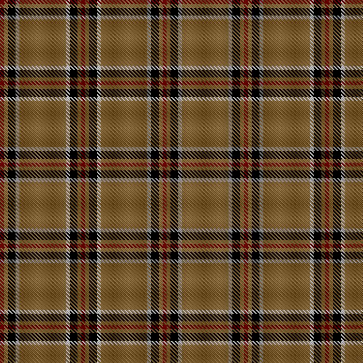 Tartan image: Lochcarron Camel. Click on this image to see a more detailed version.