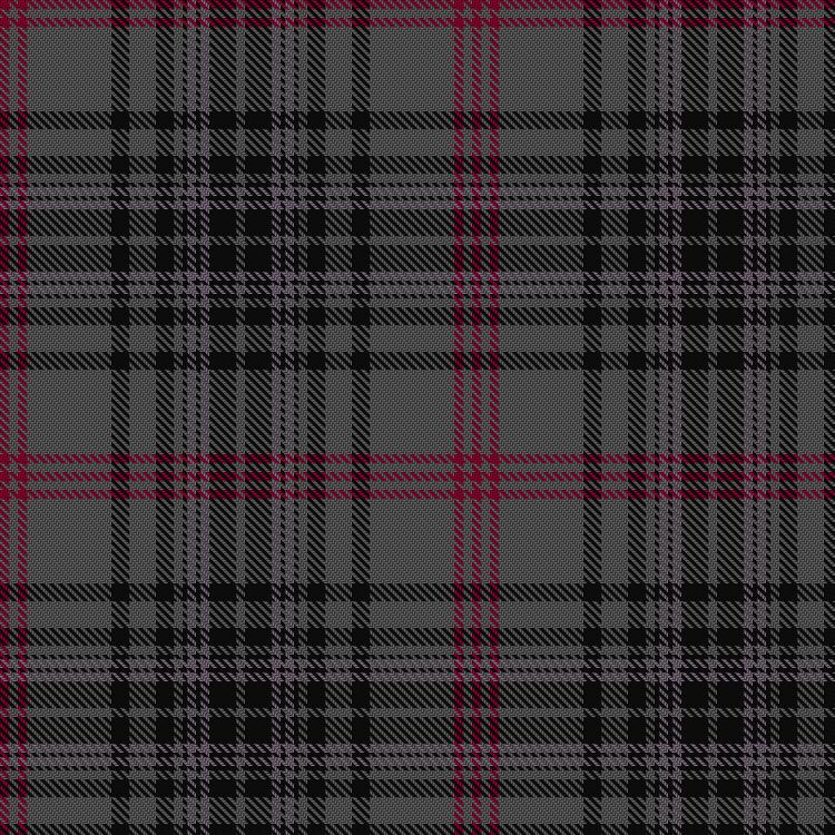 Tartan image: Lochcarron Mill. Click on this image to see a more detailed version.