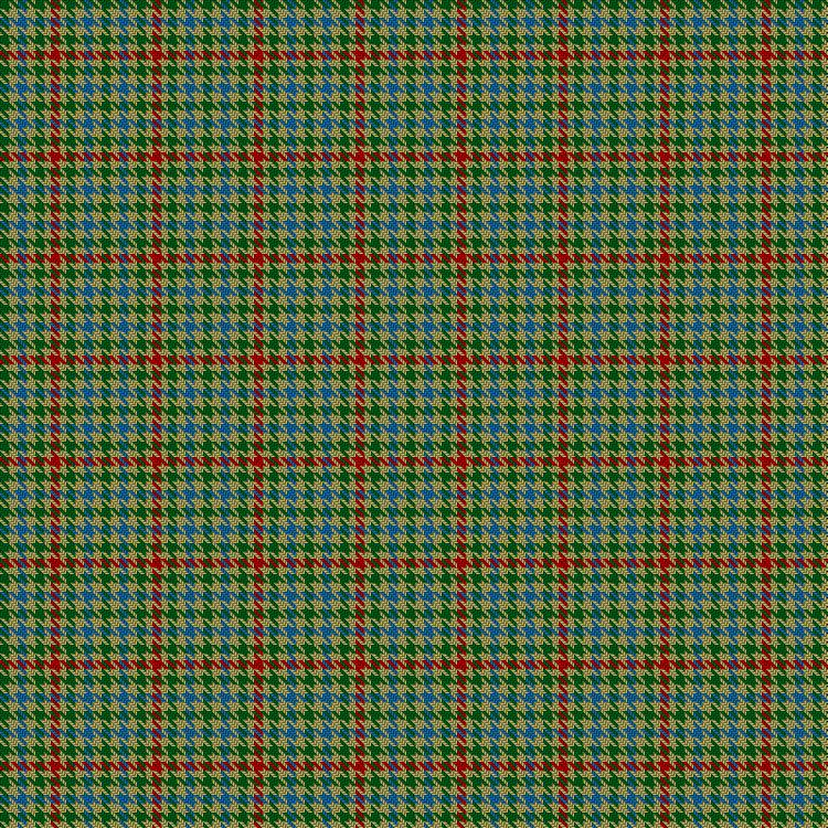 Tartan image: Lochwood Estate Check. Click on this image to see a more detailed version.