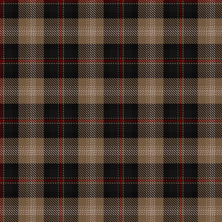 Tartan image: Logan #6. Click on this image to see a more detailed version.