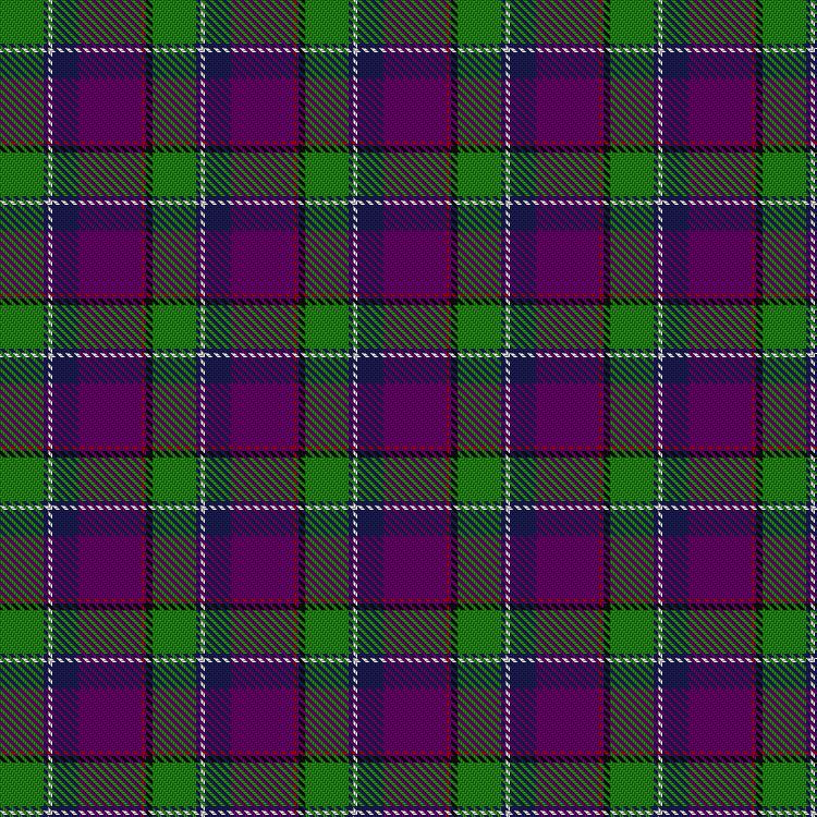 Tartan image: Longhaugh Primary School. Click on this image to see a more detailed version.