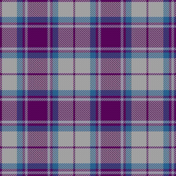 Tartan image: Longniddry Dress (Dance). Click on this image to see a more detailed version.