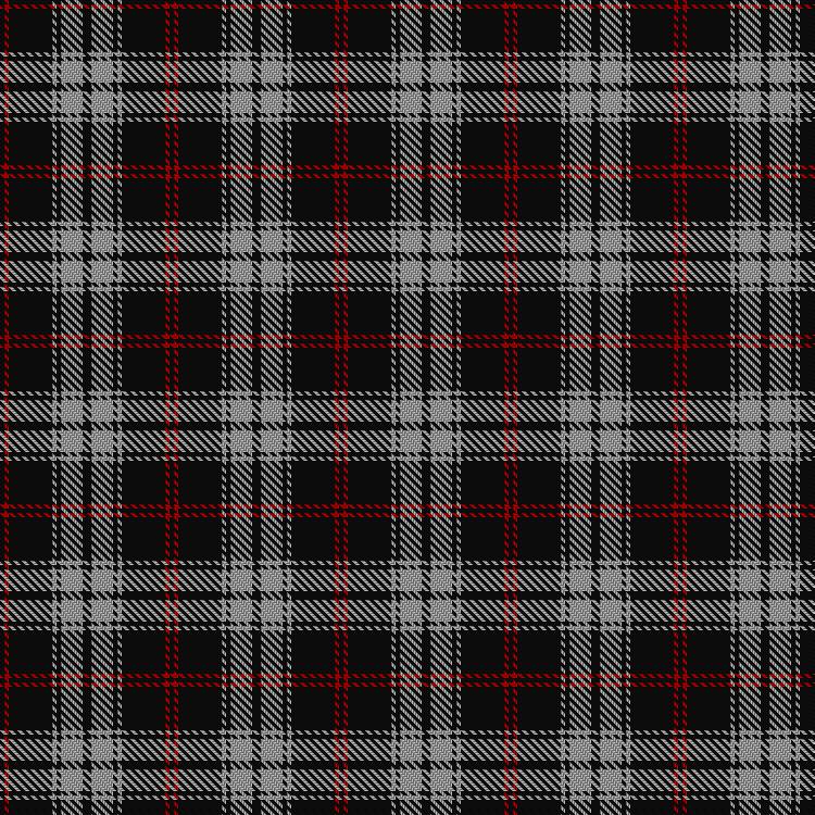 Tartan image: Lundy Reform. Click on this image to see a more detailed version.