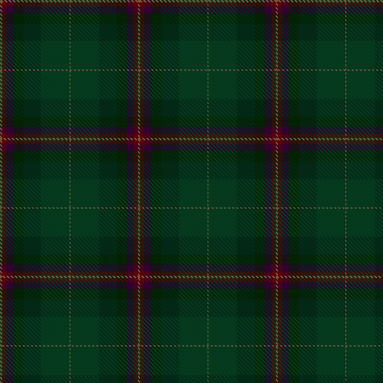 Tartan image: Lunting Papi (Personal). Click on this image to see a more detailed version.