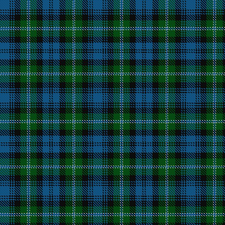 Tartan image: Lyon. Click on this image to see a more detailed version.