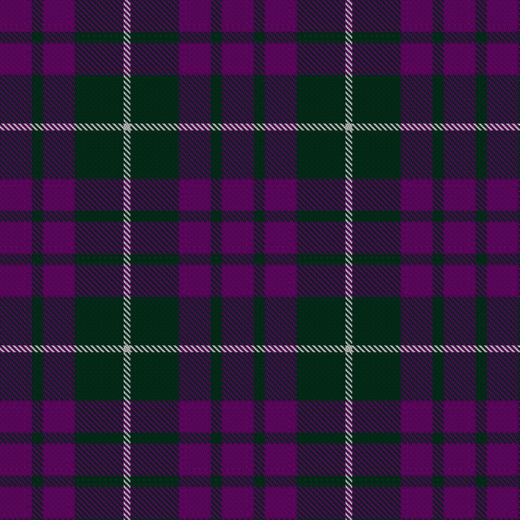 Tartan image: Baru. Click on this image to see a more detailed version.