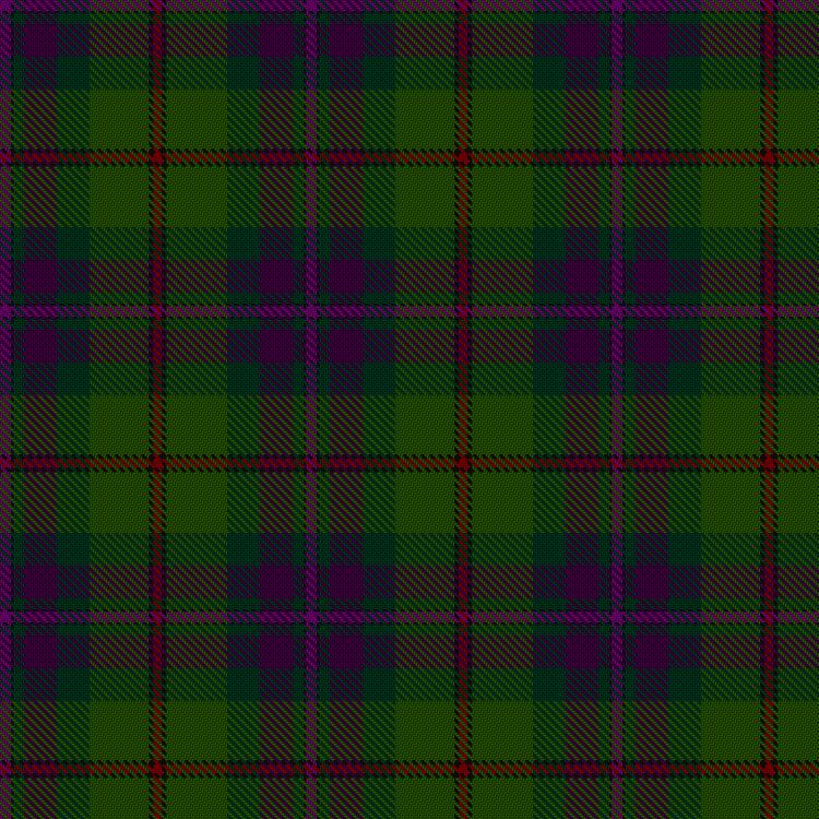 Tartan image: Batten of Argyll (Baddenach). Click on this image to see a more detailed version.