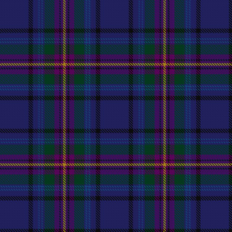 Tartan image: Bavidge (Personal). Click on this image to see a more detailed version.