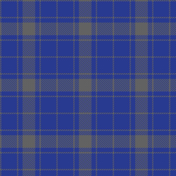 Tartan image: MacCallum High School. Click on this image to see a more detailed version.