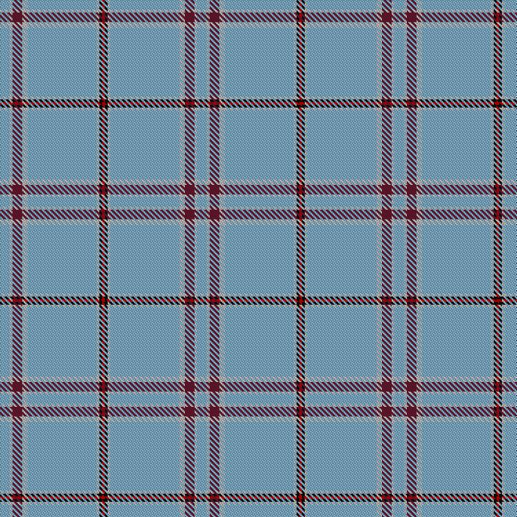 Tartan image: MacDonald from Rawtenstall (Personal). Click on this image to see a more detailed version.