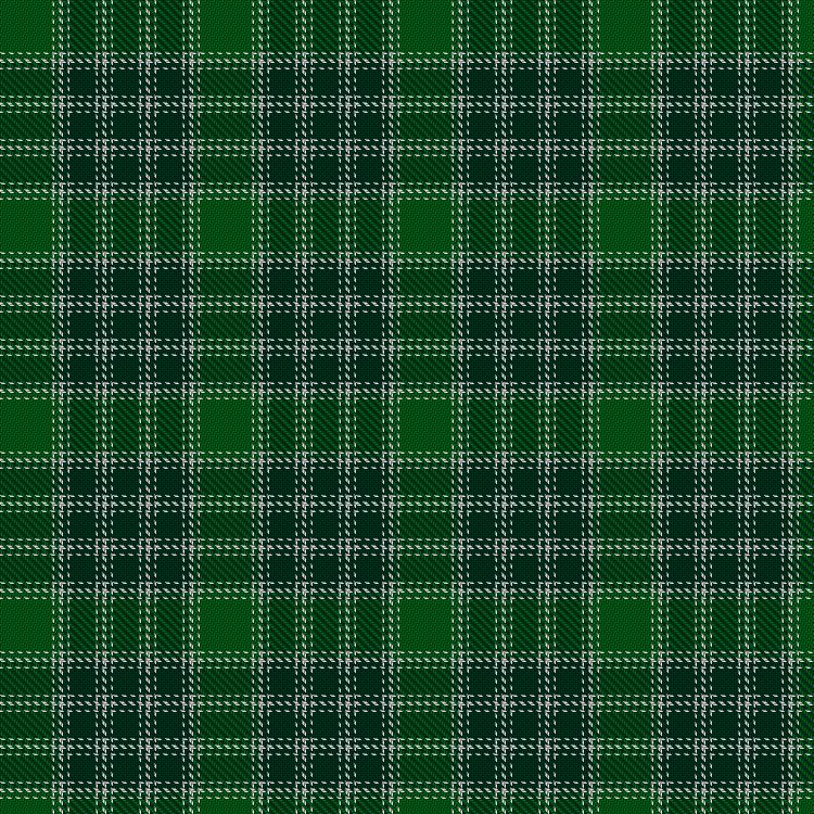 Tartan image: MacDonald, Lord of the Isles Hunting. Click on this image to see a more detailed version.