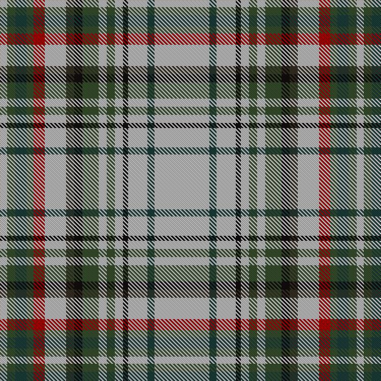 Tartan image: Beckett Beaumont. Click on this image to see a more detailed version.
