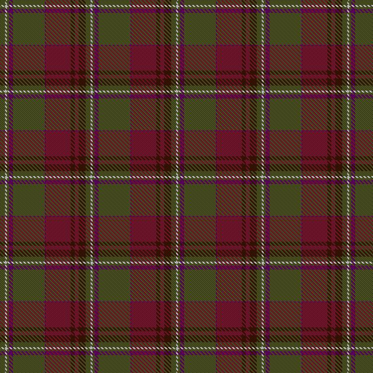 Tartan image: Bell of Ardbel (Personal). Click on this image to see a more detailed version.