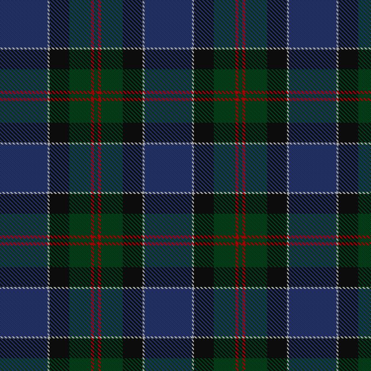 Tartan image: MacFadzean. Click on this image to see a more detailed version.